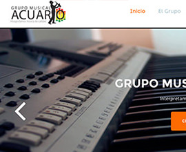 Grupo Musical Acuario